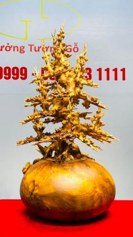 Bình Mai Gỗ Nu Ngọc Am
