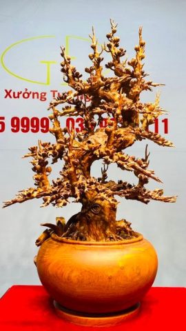 Bình Mai Gỗ Hương