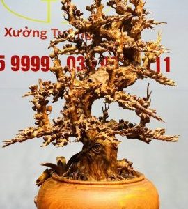 Bình Mai Gỗ Hương