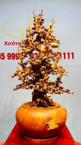 Bình Mai Gỗ Hương