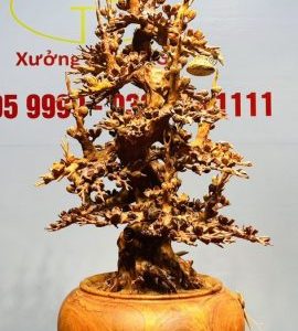 Bình Mai Gỗ Hương