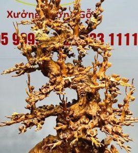 Bình Mai Gỗ Hương