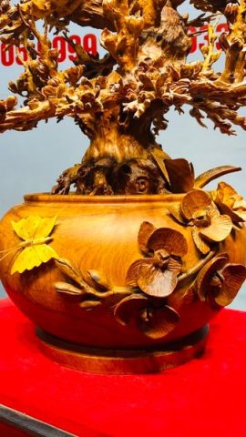 Bình Mai Gỗ Hương