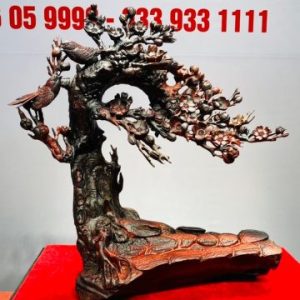Cây Mai Chim Sẻ Gỗ Trắc