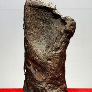 Đạt Ma Ngồi Thiền Cây Bồ Đề Gỗ Trắc