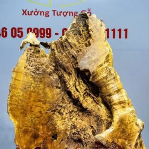 Tiểu Cảnh Gỗ Hương
