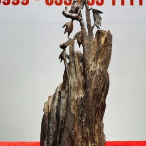Đạt Ma Ngồi Thiền Khóm Trúc Gỗ Trắc