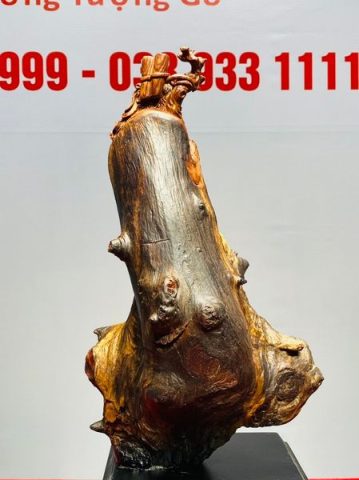 Đạt Ma Gỗ Chun Sụn Cẩm