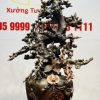 Bình Mai Gỗ Trắc