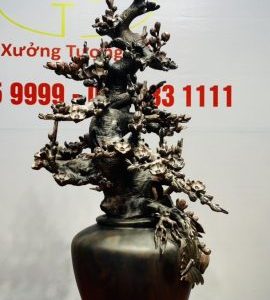 Bình Mai Gỗ Trắc