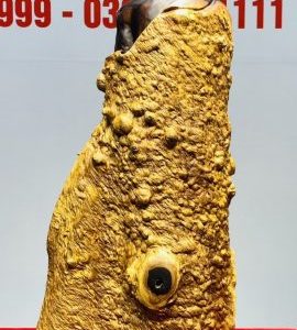 Đạt Ma Sư Tổ Gỗ Chiu Liu