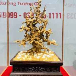 Cây Mai Gỗ Hoàng Đàn Tuyết Lạng Sơn kết hợp với Ngà Voi