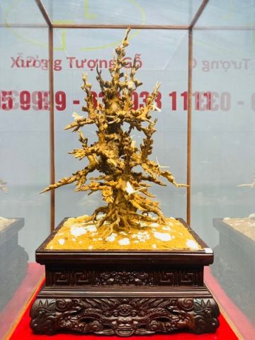 Cây Mai Gỗ Hoàng Đàn Tuyết Lạng Sơn kết hợp với Ngà Voi