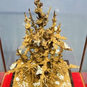 Cây Mai Gỗ Hoàng Đàn Tuyết Lạng Sơn kết hợp với Ngà Voi
