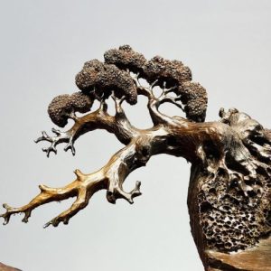 Tiểu Cảnh Gỗ Trắc