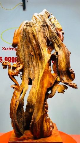 Đạt Ma Thuần Rồng Gỗ Nu Hương