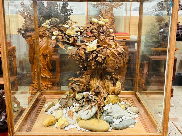 Bonsai Gỗ Sưa