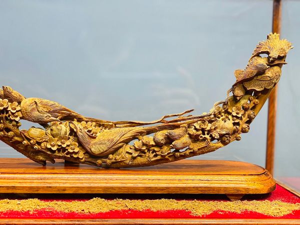 Bách Điểu Trầu Hoàng Gỗ Hoàng Đàn