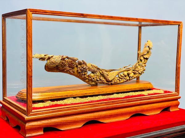 Bách Điểu Trầu Hoàng Gỗ Hoàng Đàn