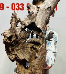 Nhất Long Gỗ Nu Trắc