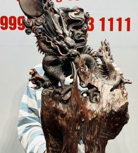 Nhất Long Gỗ Nu Trắc