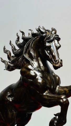 Nhất Mã Phi Thiên Gỗ Trắc
