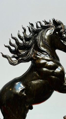 Nhất Mã Phi Thiên Gỗ Trắc