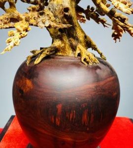 Bình Hoa Mai Hoàng Đàn - Tử Đàn
