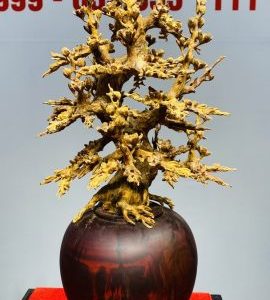 Bình Hoa Mai Hoàng Đàn - Tử Đàn