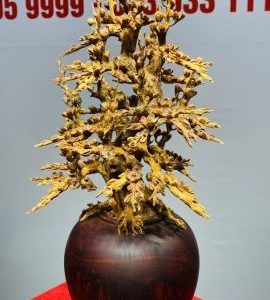 Bình Hoa Mai Hoàng Đàn - Tử Đàn