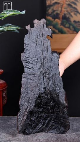 Đạt Ma Ngồi Thiền Gỗ Trắc