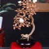 Bonsai Hoa Phù Dung Gỗ Sưa