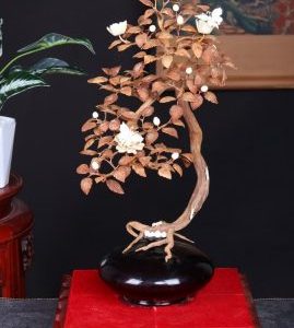 Bonsai Hoa Phù Dung Gỗ Sưa