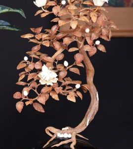Bonsai Hoa Phù Dung Gỗ Sưa