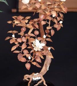 Bonsai Hoa Phù Dung Gỗ Sưa