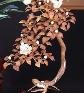 Bonsai Hoa Phù Dung Gỗ Sưa