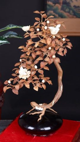 Bonsai Hoa Phù Dung Gỗ Sưa