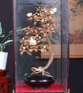 Bonsai Hoa Phù Dung Gỗ Sưa