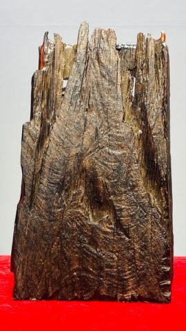 Đạt Ma Gỗ Trắc