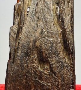 Đạt Ma Gỗ Trắc