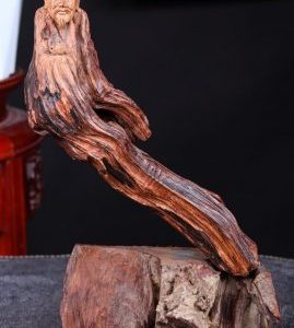 Thần Trà Gỗ Trắc