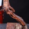 Thần Trà Gỗ Trắc