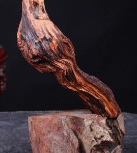 Thần Trà Gỗ Trắc