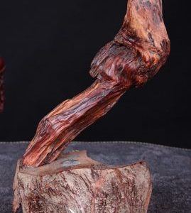 Thần Trà Gỗ Trắc