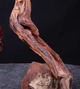 Thần Trà Gỗ Trắc