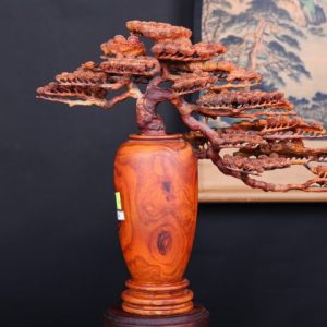 Bình Tùng Gỗ Sưa Bình Tùng Gỗ Sưa