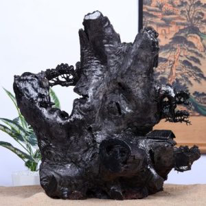 Tiểu Cảnh Gỗ Mun Sừng Khánh Hoà