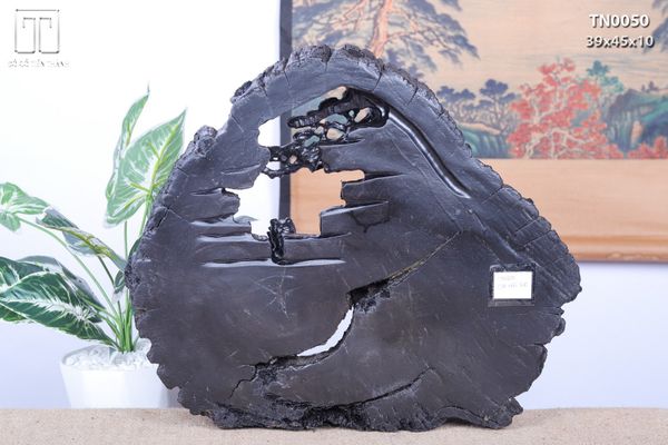 Thần Trà Gỗ Mun Sừng Khánh Hoà