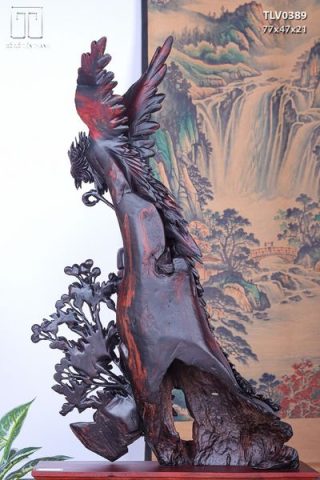 Phượng Hoàng Lửa Gỗ Trắc