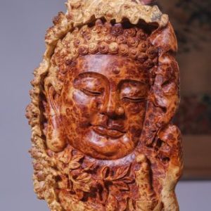 Diện Phật Nu Ngọc Am
